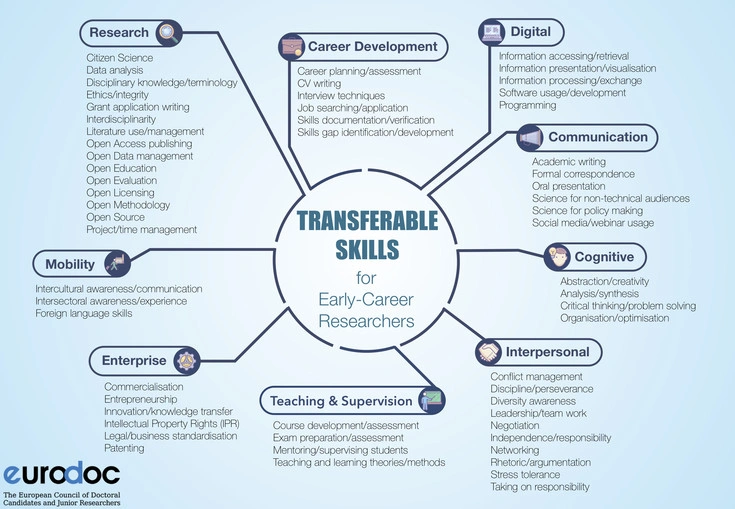 Diagram showing transferable skills categories for career change applications