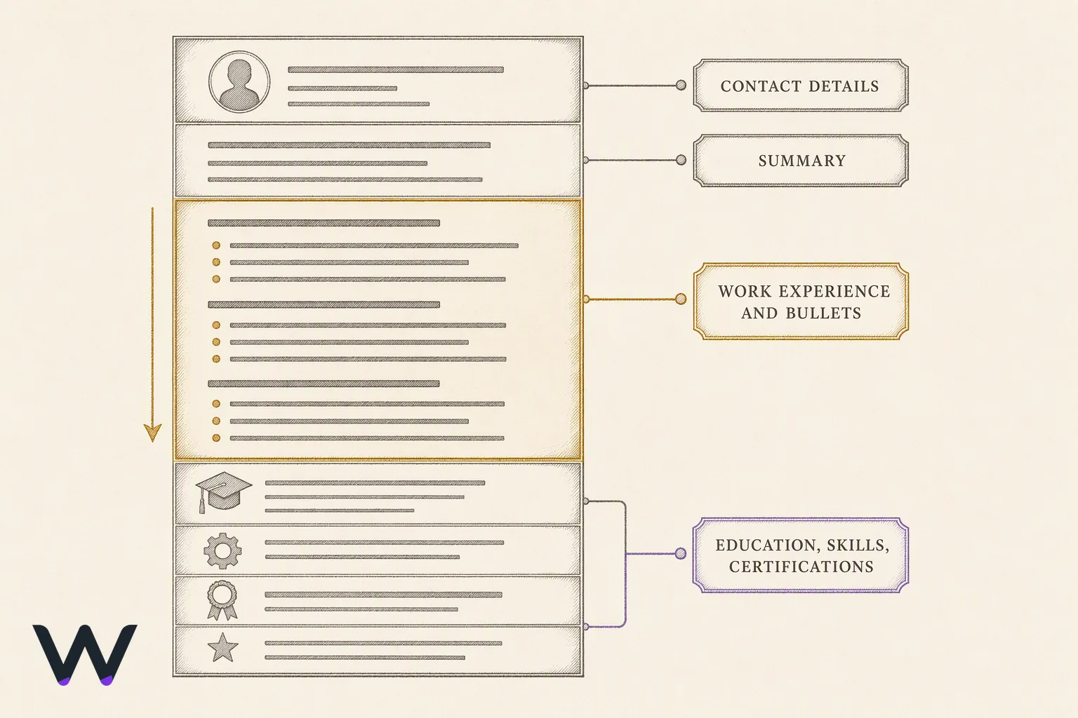 A vertical anatomy diagram of a single resume page, with stacked bands running down it for contact details, a summary, work experience holding indented bullet lines, education, skills, certifications and optional closing items, each band labelled at the side.
